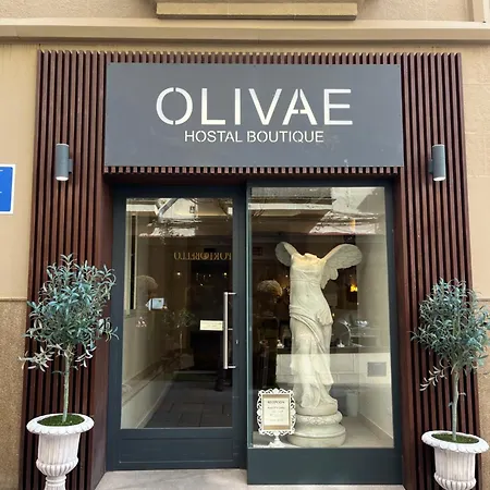 Pensión Olivae Boutique Caces